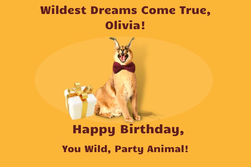 HIP HIP Hooray Happy Birthday!