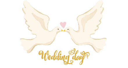 have fun on your honeymoon!