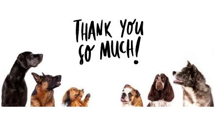 Have a lovely Birthday!